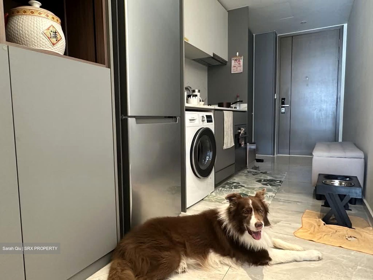 Affinity At Serangoon (D19), Apartment #605917801